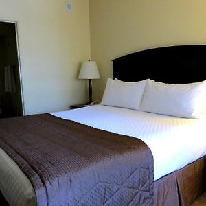 Suite de 1 Dormitorio y Cama King